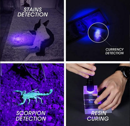 C2 UV - Lampe torche Ultraviolet - 405 Nanomètres - 500mW